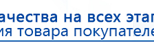 СКЭНАР-1-НТ (исполнение 01)  купить в Сысерти, Аппараты Скэнар купить в Сысерти, Официальный сайт Дэнас kupit-denas.ru